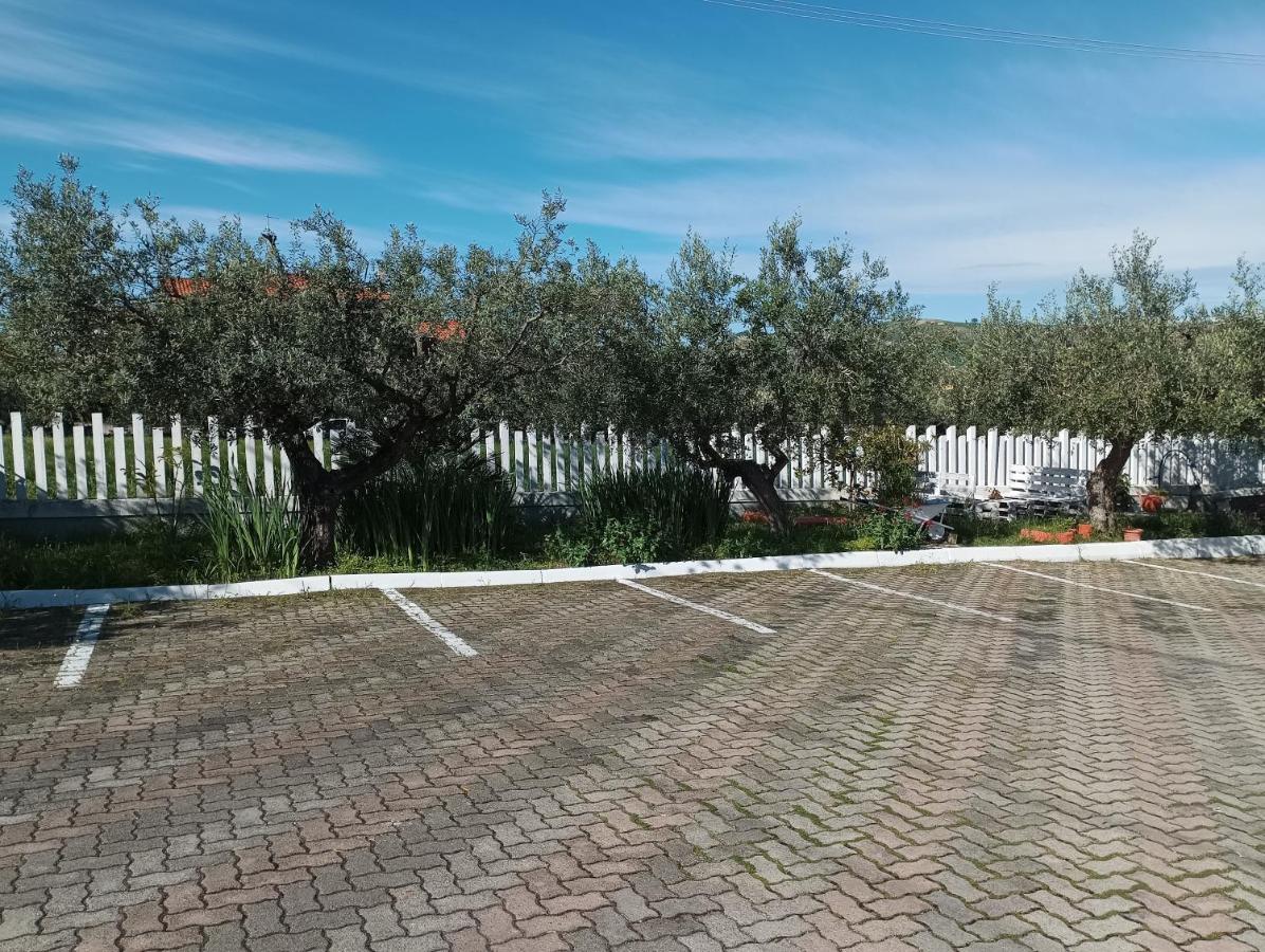 Colline Del Sole Bed & Breakfast San Salvo Dış mekan fotoğraf
