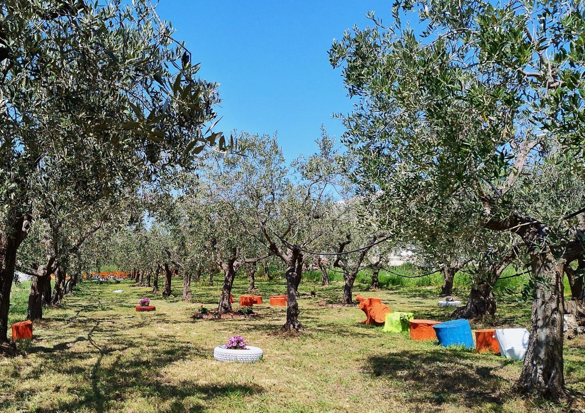 Colline Del Sole Bed & Breakfast San Salvo Dış mekan fotoğraf